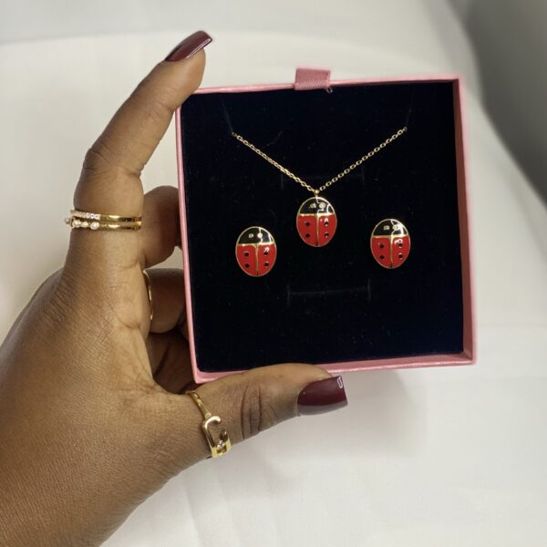 LADYBUG 🐞