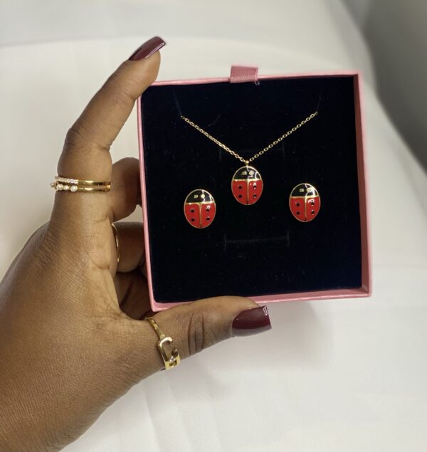 LADYBUG 🐞