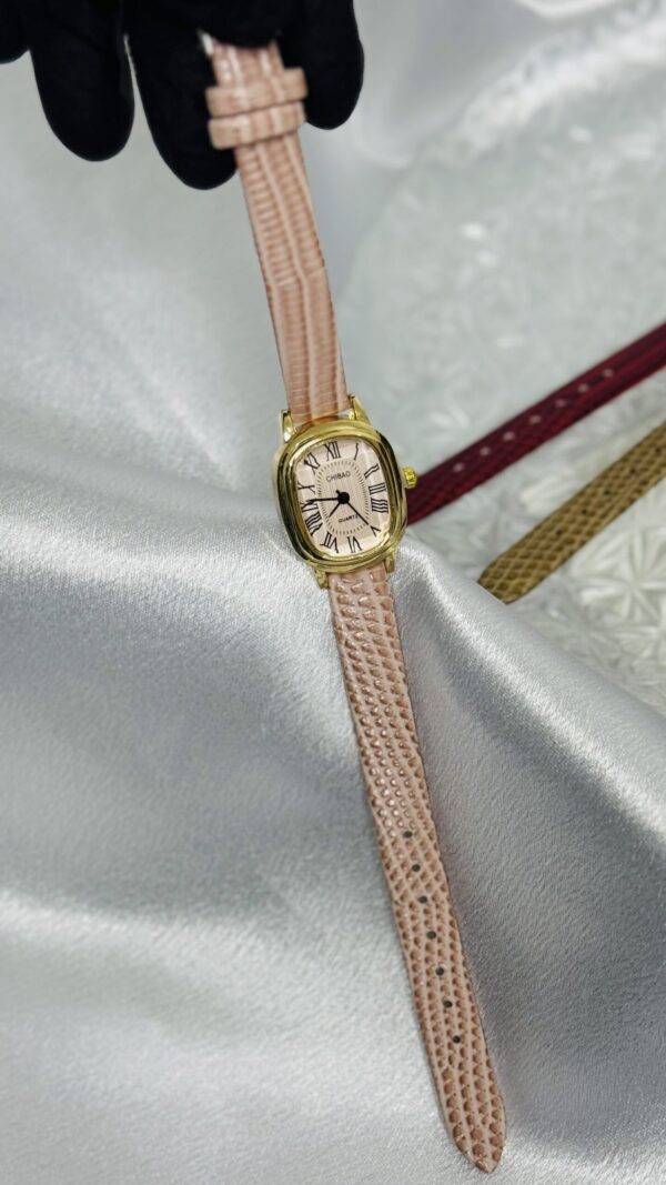 Montre_Saumon