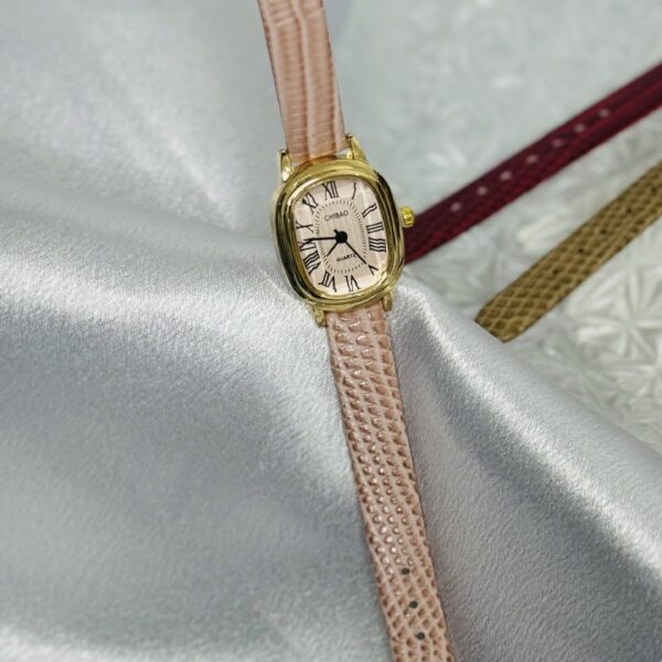 Montre_Saumon